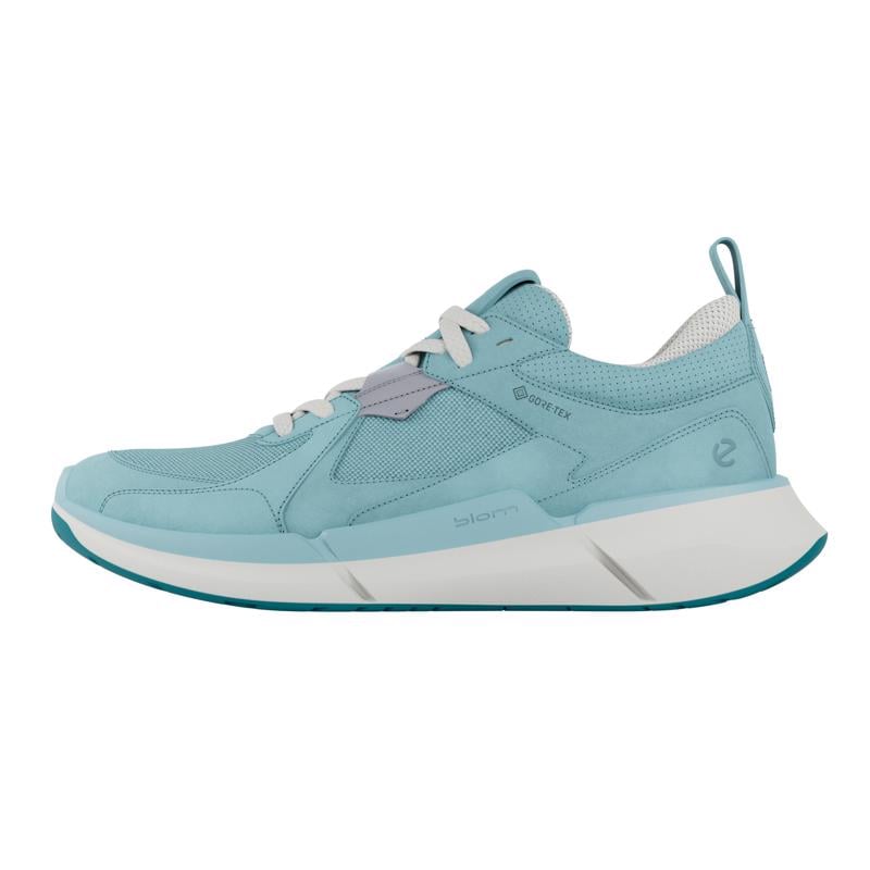 BLUE ECCO BIOM 2.2 W GTX