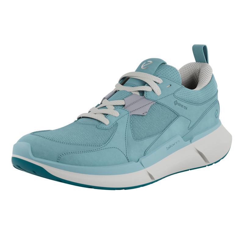 BLUE ECCO BIOM 2.2 W GTX