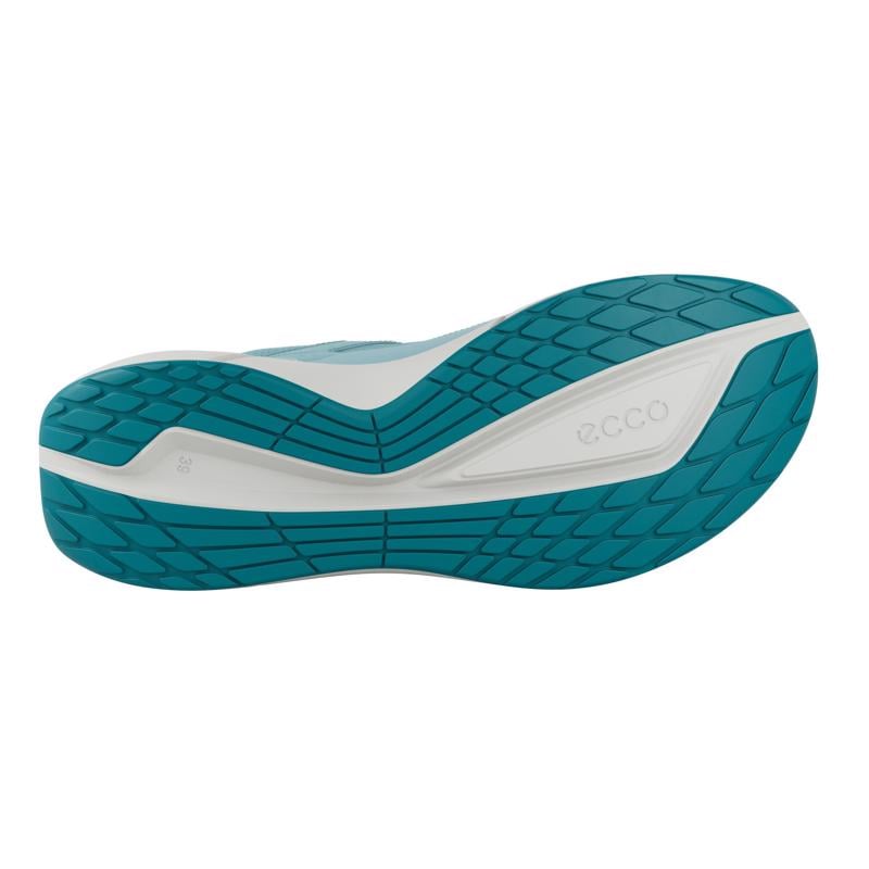 BLUE ECCO BIOM 2.2 W GTX