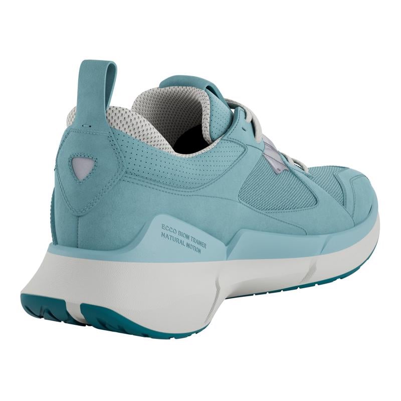 BLUE ECCO BIOM 2.2 W GTX