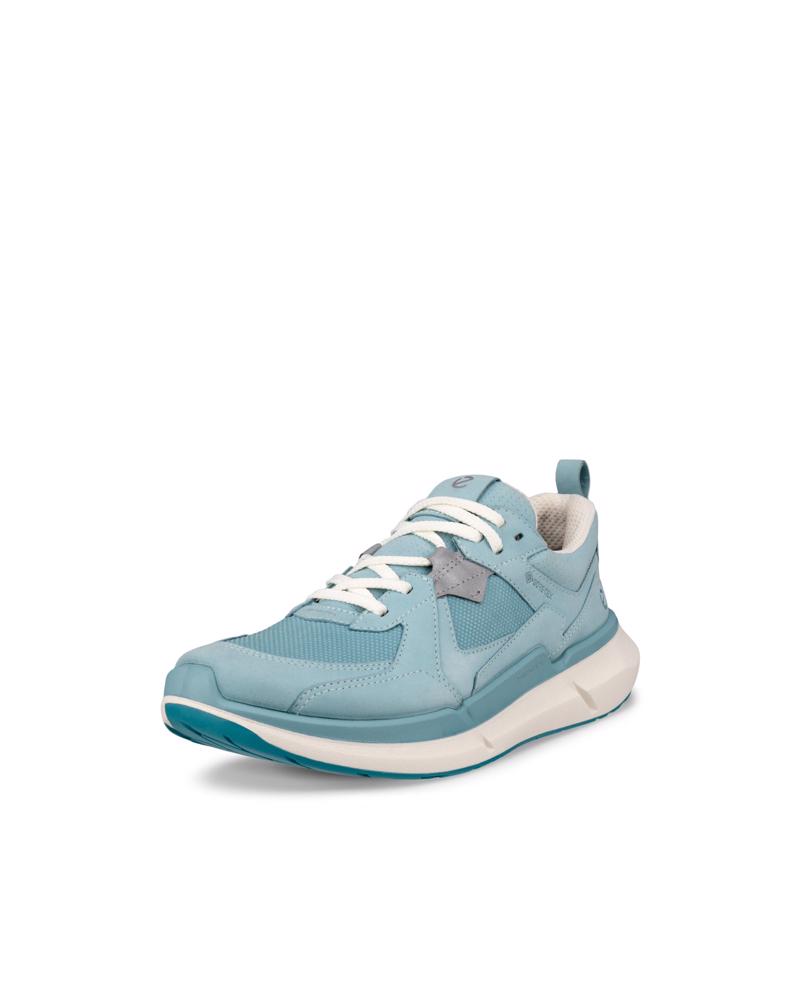 BLUE ECCO BIOM 2.2 W GTX