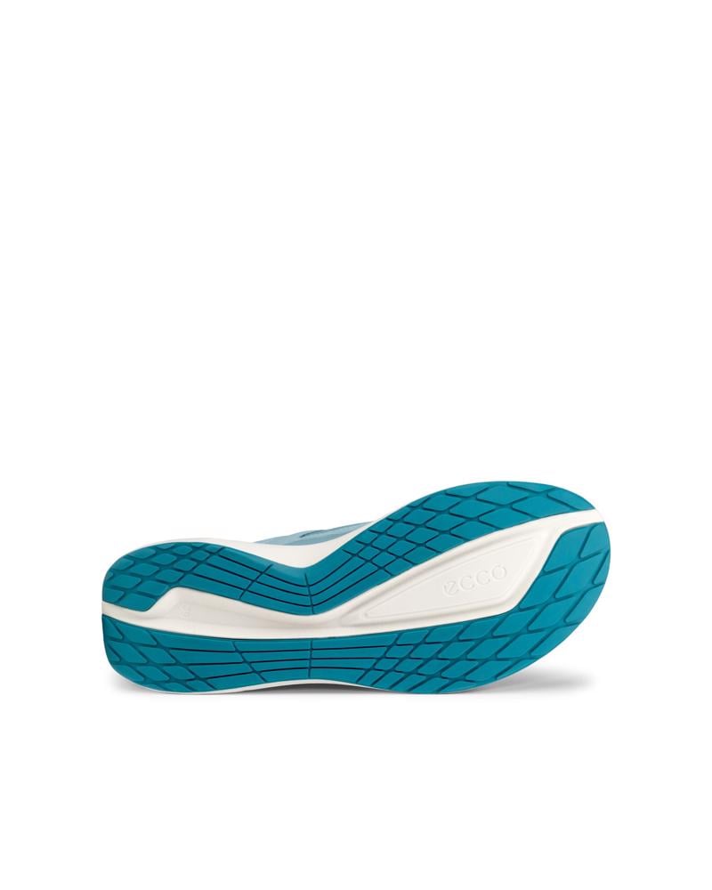 BLUE ECCO BIOM 2.2 W GTX