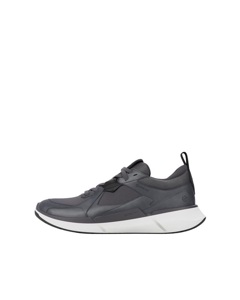 Grey ECCO BIOM 2.2 M GTX