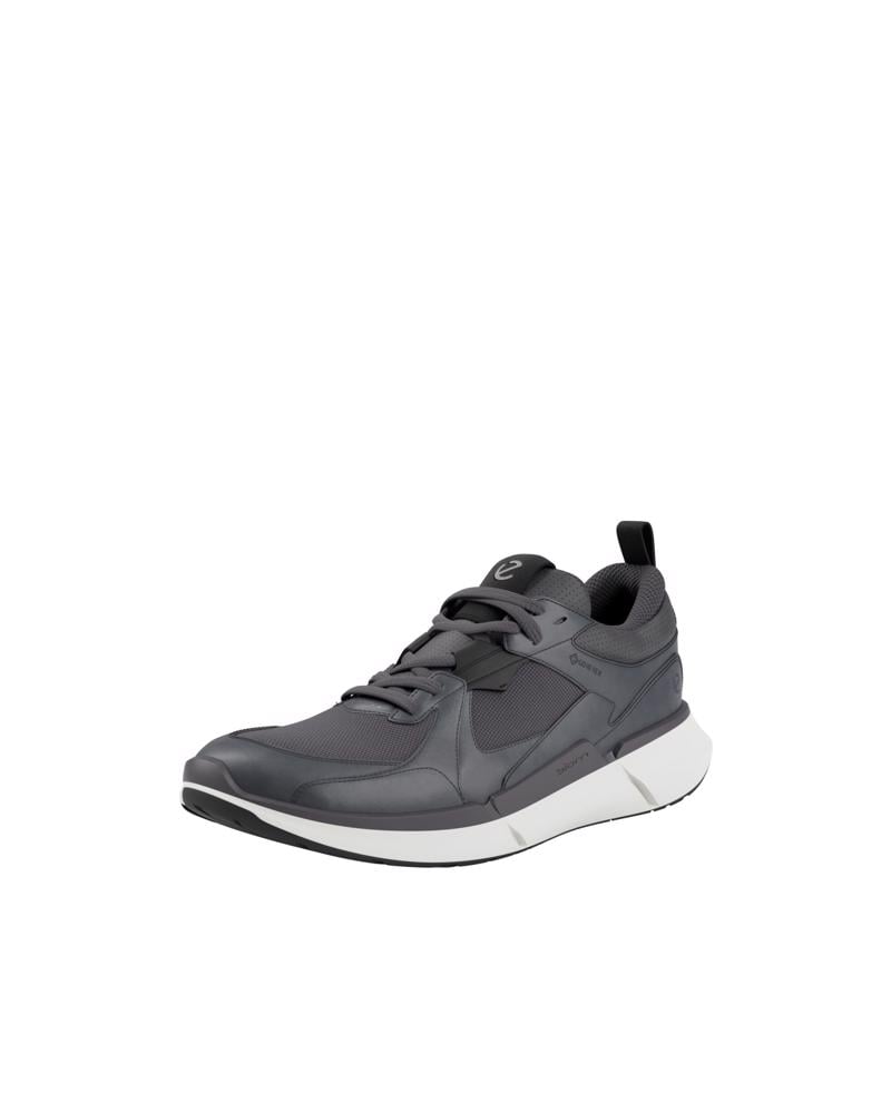 Grey ECCO BIOM 2.2 M GTX
