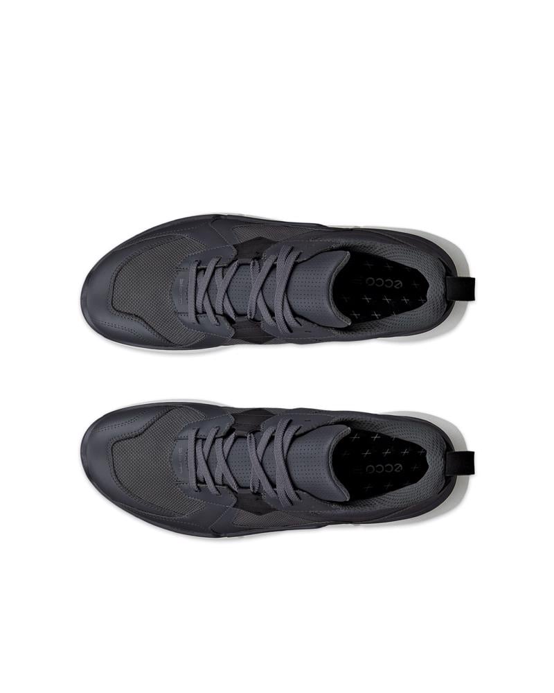 Grey ECCO BIOM 2.2 M GTX