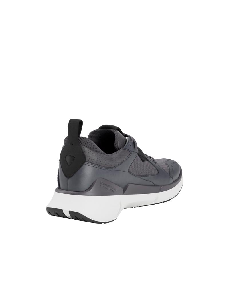 Grey ECCO BIOM 2.2 M GTX