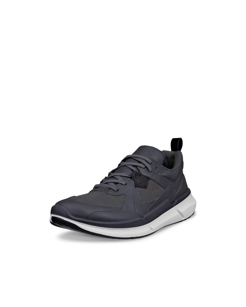 Grey ECCO BIOM 2.2 M GTX