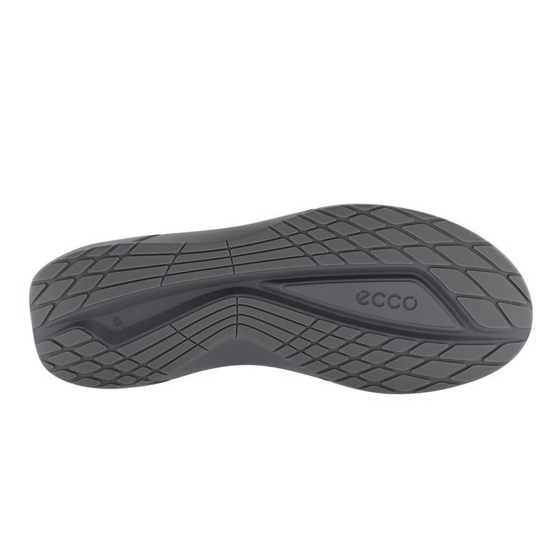 Grey ECCO BIOM 2.2 M EASY SLIP