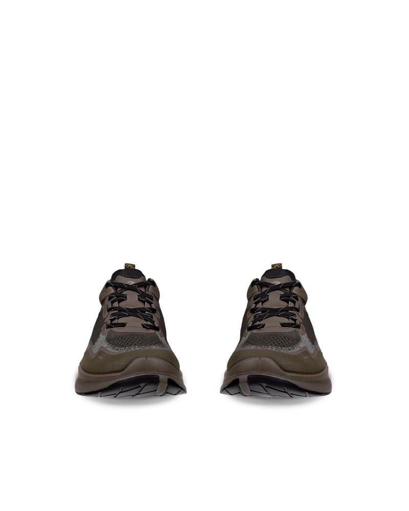 Grey ECCO BIOM 2.2 M LOW TEX