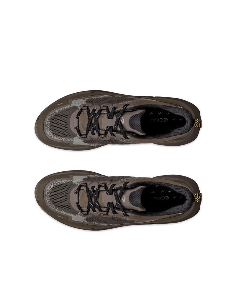 Grey ECCO BIOM 2.2 M LOW TEX
