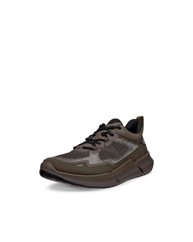 Grey ECCO BIOM 2.2 M LOW TEX