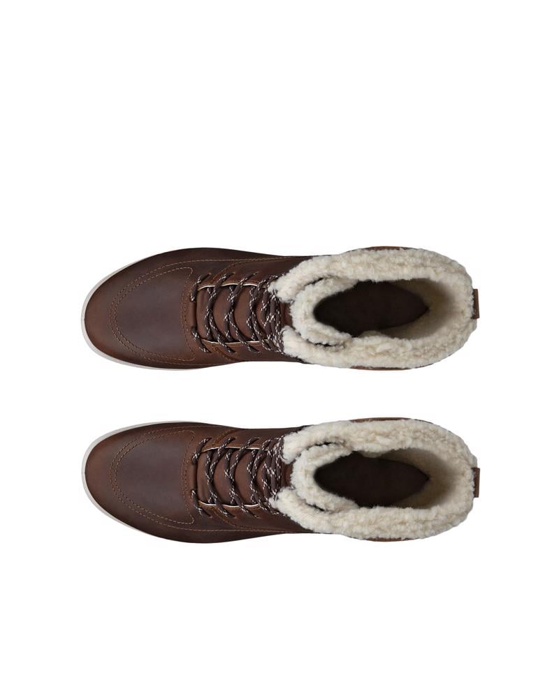 Brown ECCO Trace Lite WP/WL Mid Boot
