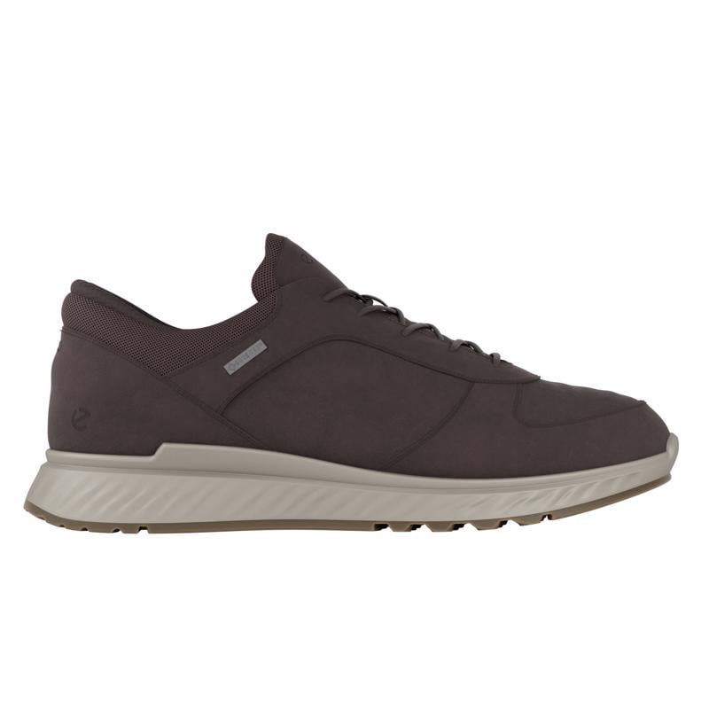 Brown ECCO EXOSTRIDE M LOW GTX