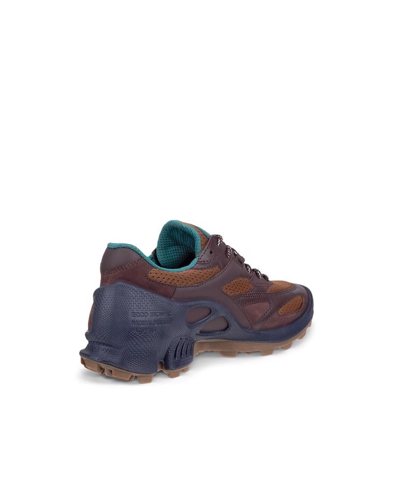 CAMEL ECCO BIOM C-TRAIL W NRL