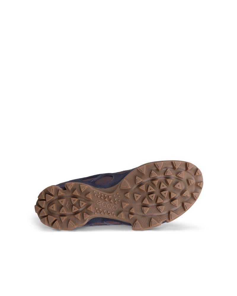 CAMEL ECCO BIOM C-TRAIL W NRL