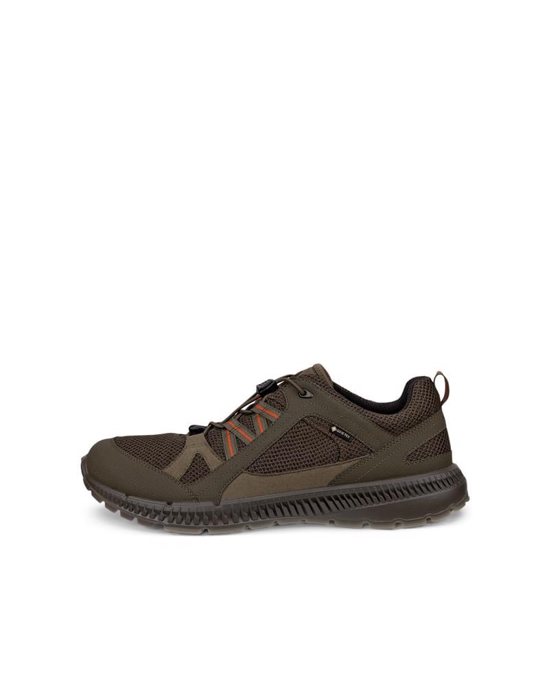 Green ECCO TERRACRUISE II M GTX TEX