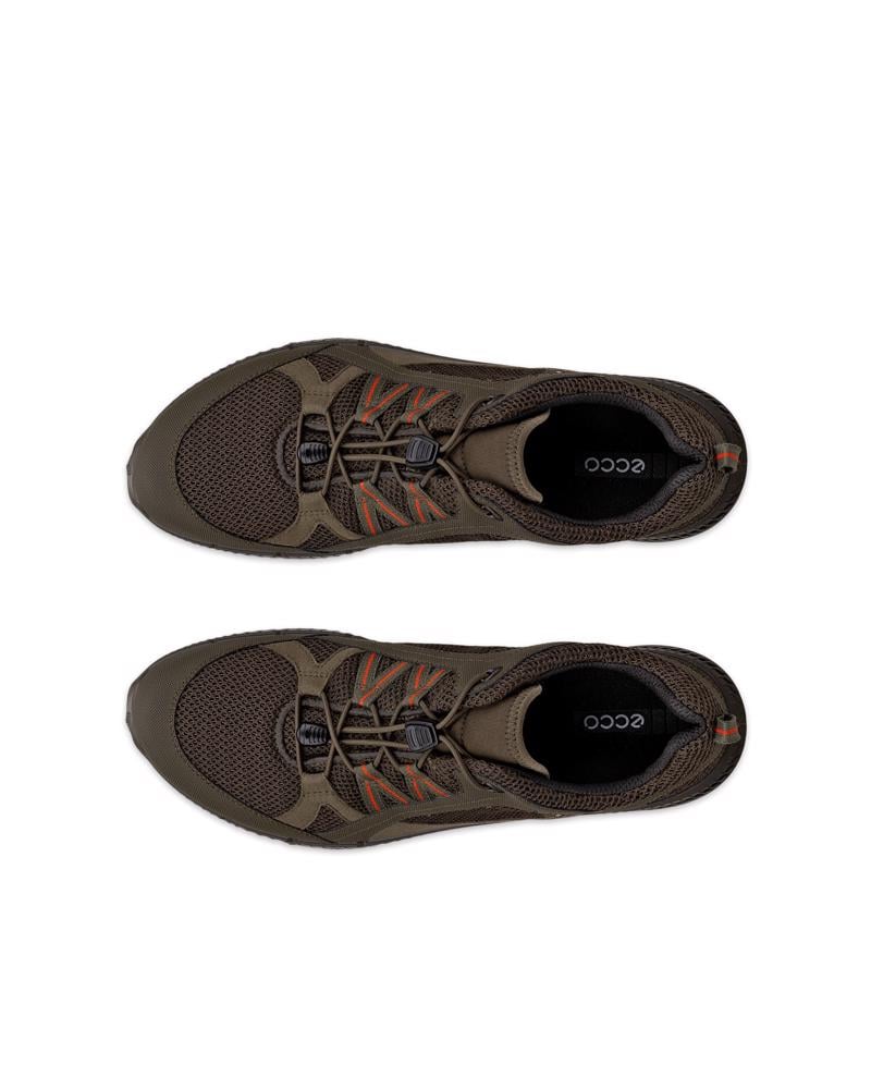 Green ECCO TERRACRUISE II M GTX TEX
