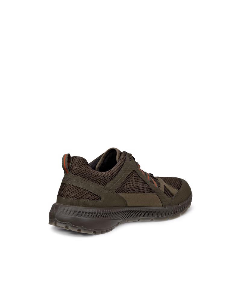 Green ECCO TERRACRUISE II M GTX TEX