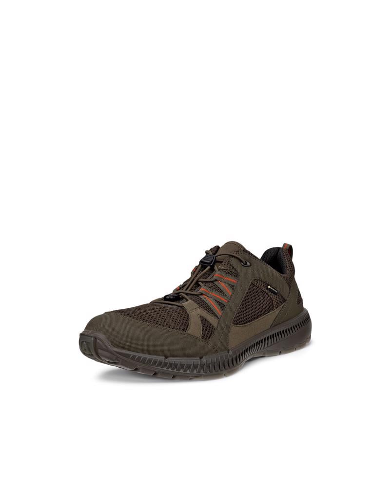 Green ECCO TERRACRUISE II M GTX TEX