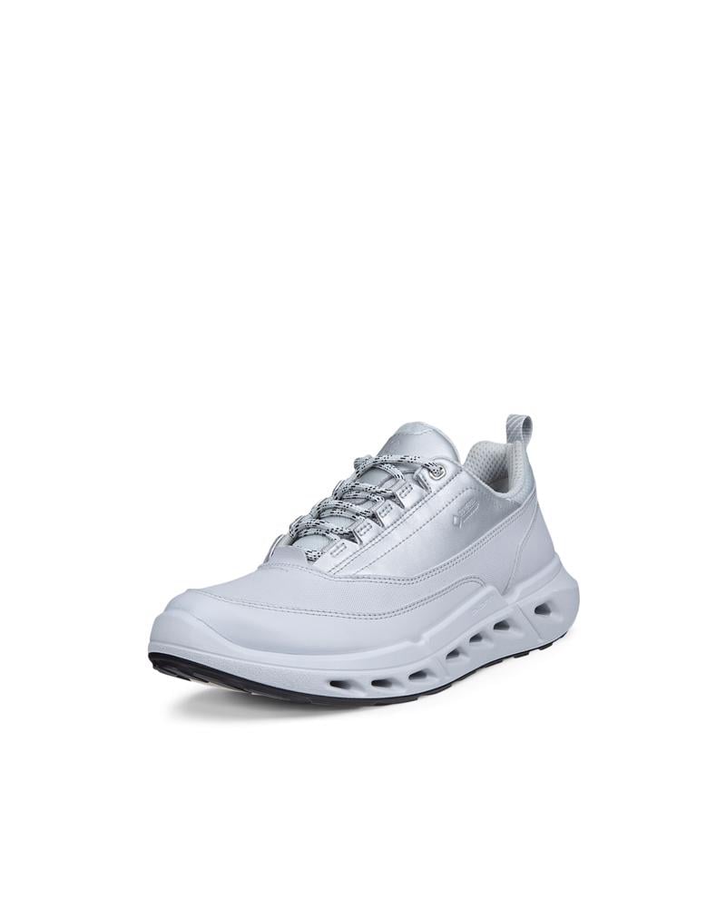 Grey ECCO BIOM 720 W LEA GTXS