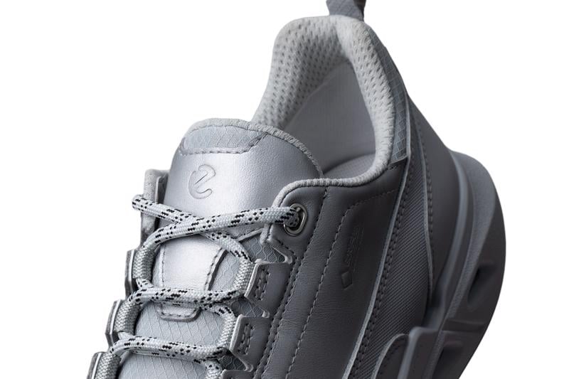 Grey ECCO BIOM 720 W LEA GTXS