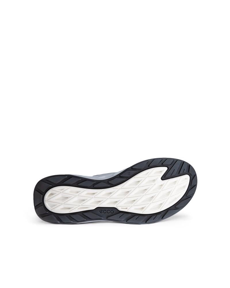 Grey ECCO BIOM 720 W LEA GTXS