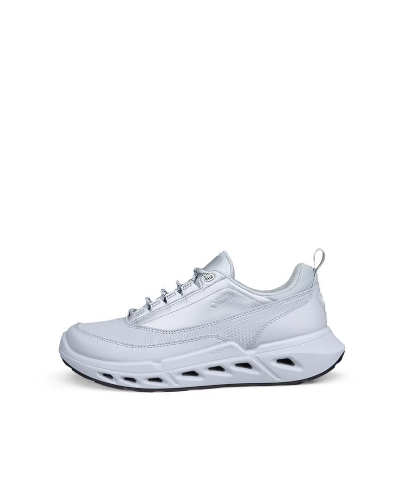 Grey ECCO BIOM 720 W LEA GTXS