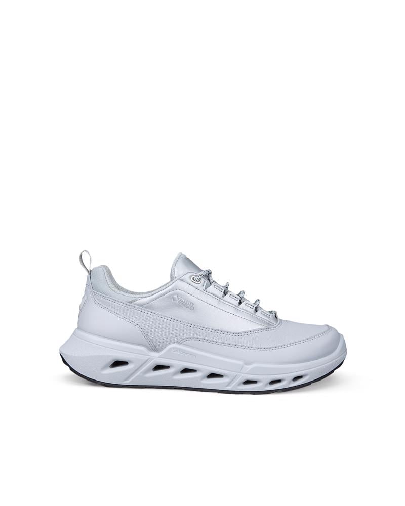 Grey ECCO BIOM 720 W LEA GTXS