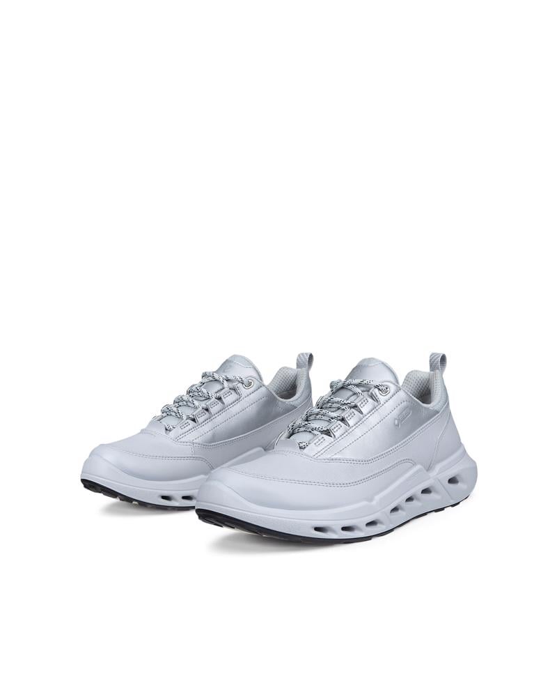 Grey ECCO BIOM 720 W LEA GTXS