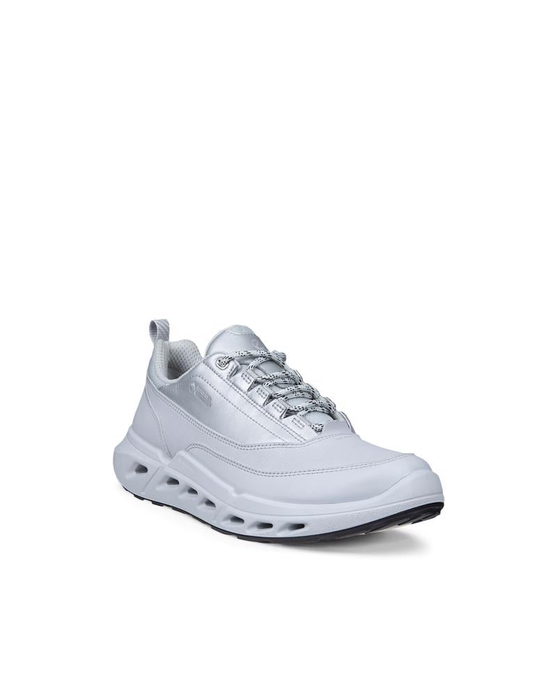 Grey ECCO BIOM 720 W LEA GTXS