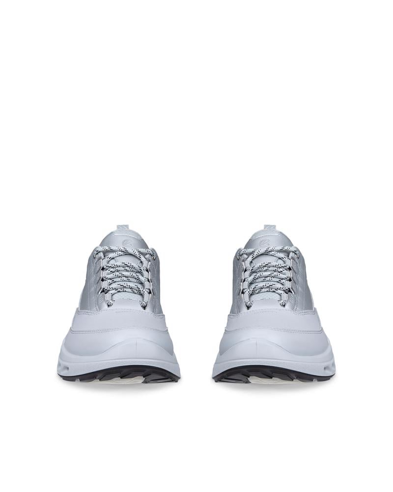 Grey ECCO BIOM 720 W LEA GTXS