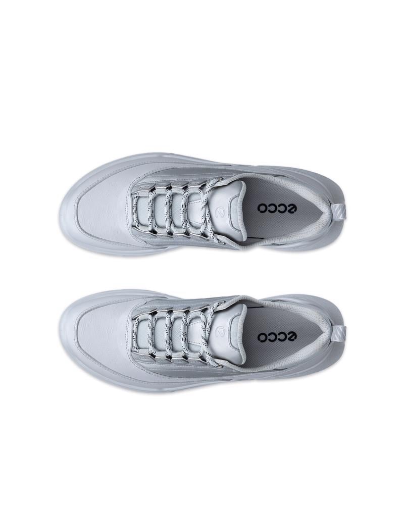 Grey ECCO BIOM 720 W LEA GTXS