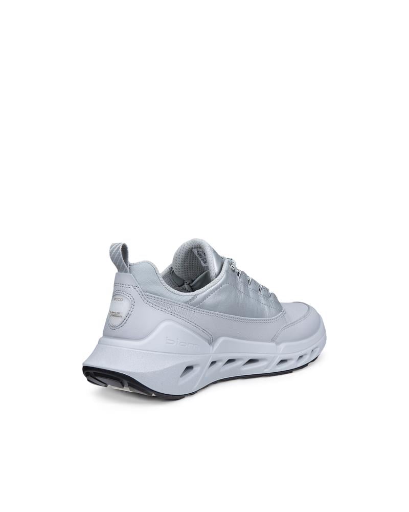 Grey ECCO BIOM 720 W LEA GTXS