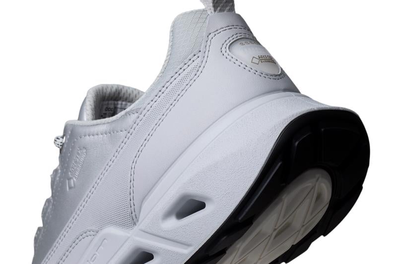 Grey ECCO BIOM 720 W LEA GTXS