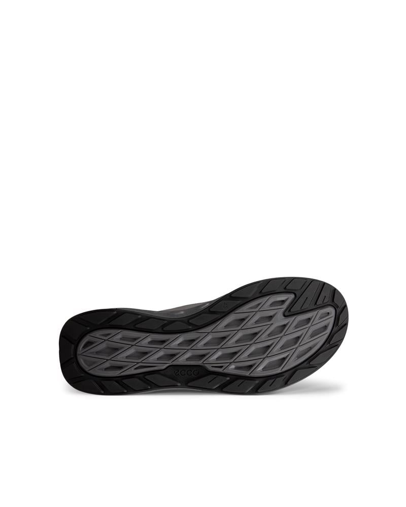 Grey ECCO BIOM 720 M Low GTXS LEA