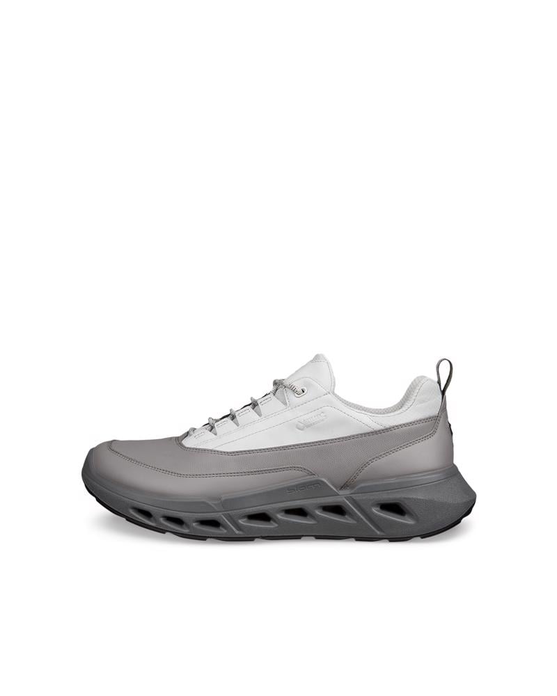 Grey ECCO BIOM 720 M Low GTXS LEA