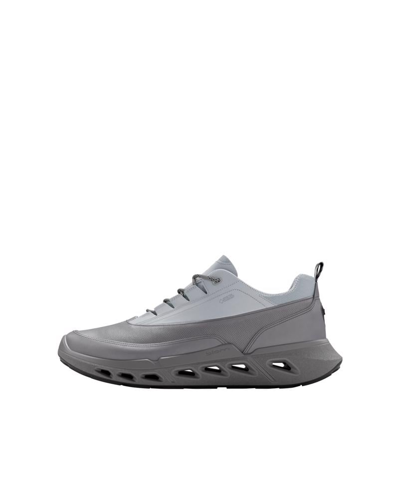 Grey ECCO BIOM 720 M Low GTXS LEA