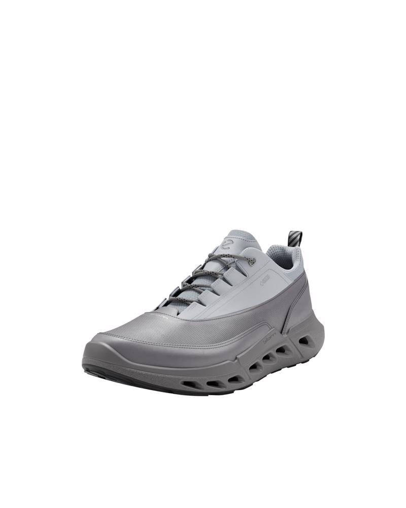 Grey ECCO BIOM 720 M Low GTXS LEA