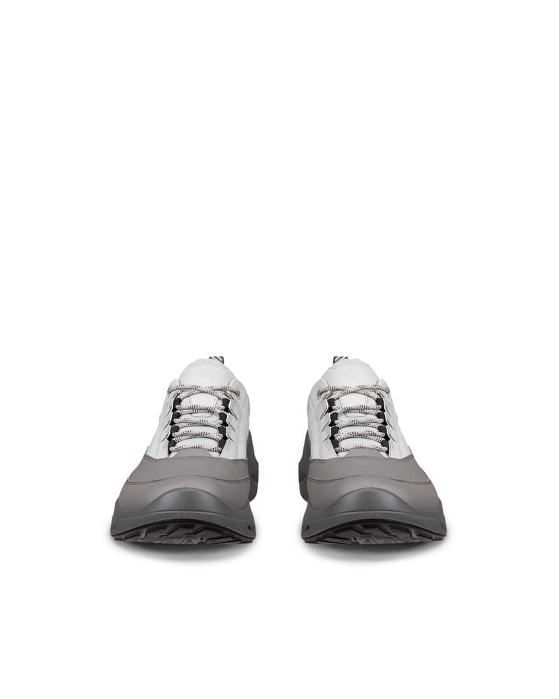 Grey ECCO BIOM 720 M Low GTXS LEA