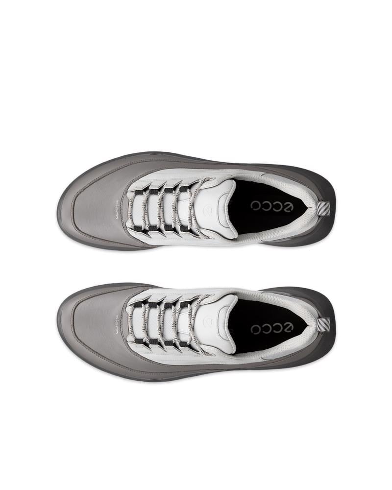 Grey ECCO BIOM 720 M Low GTXS LEA