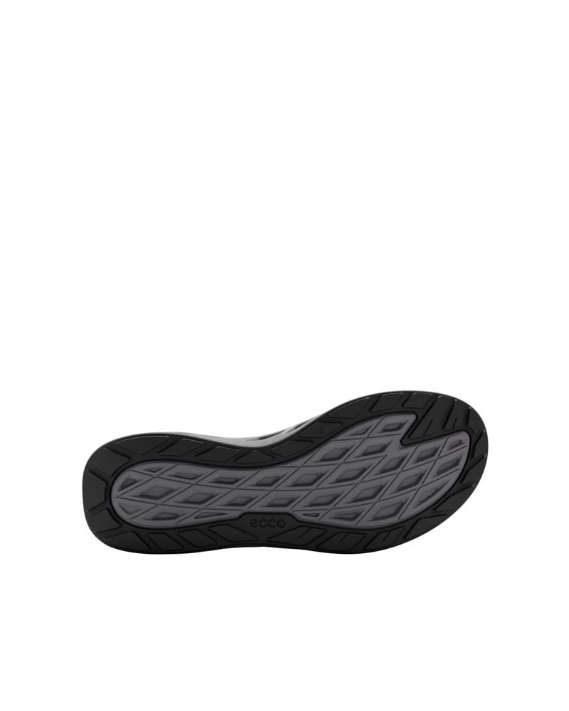 Grey ECCO BIOM 720 M Low GTXS LEA
