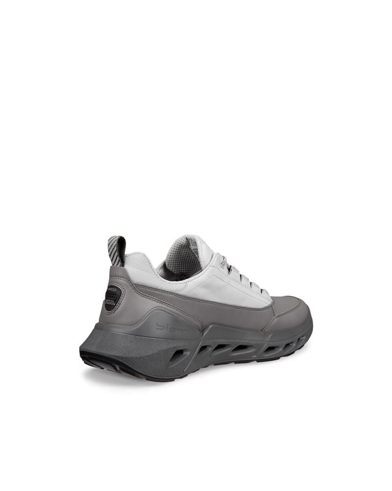 Grey ECCO BIOM 720 M Low GTXS LEA
