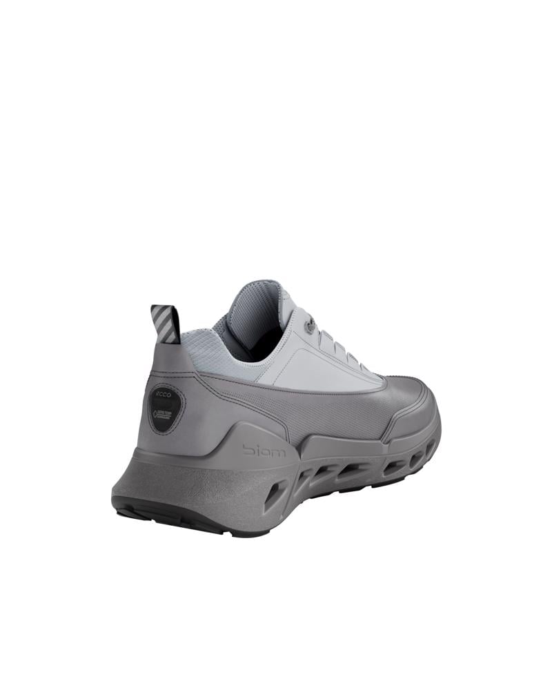 Grey ECCO BIOM 720 M Low GTXS LEA