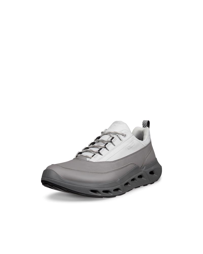 Grey ECCO BIOM 720 M Low GTXS LEA