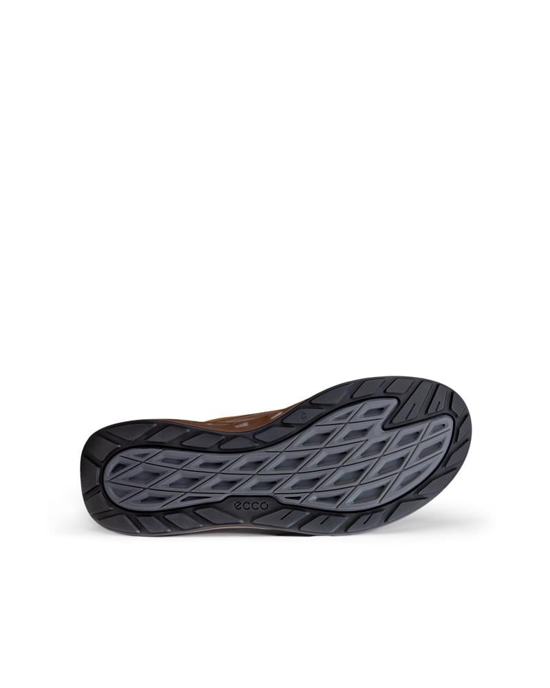 Brown ECCO BIOM 720 M Low GTXS LEA