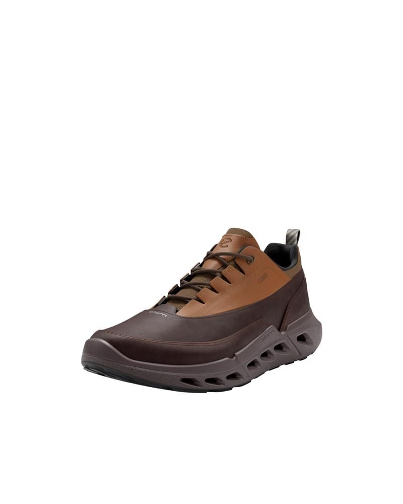 Brown ECCO BIOM 720 M Low GTXS LEA