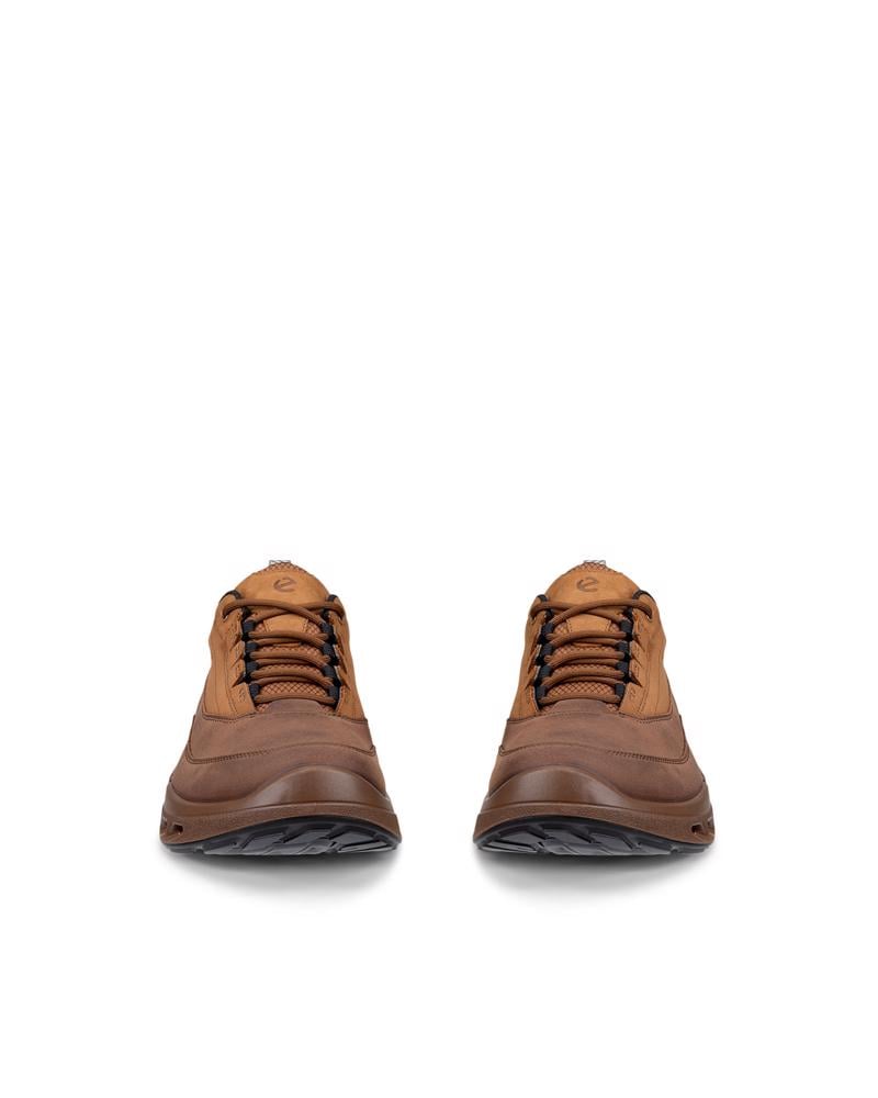 Brown ECCO BIOM 720 M Low GTXS LEA