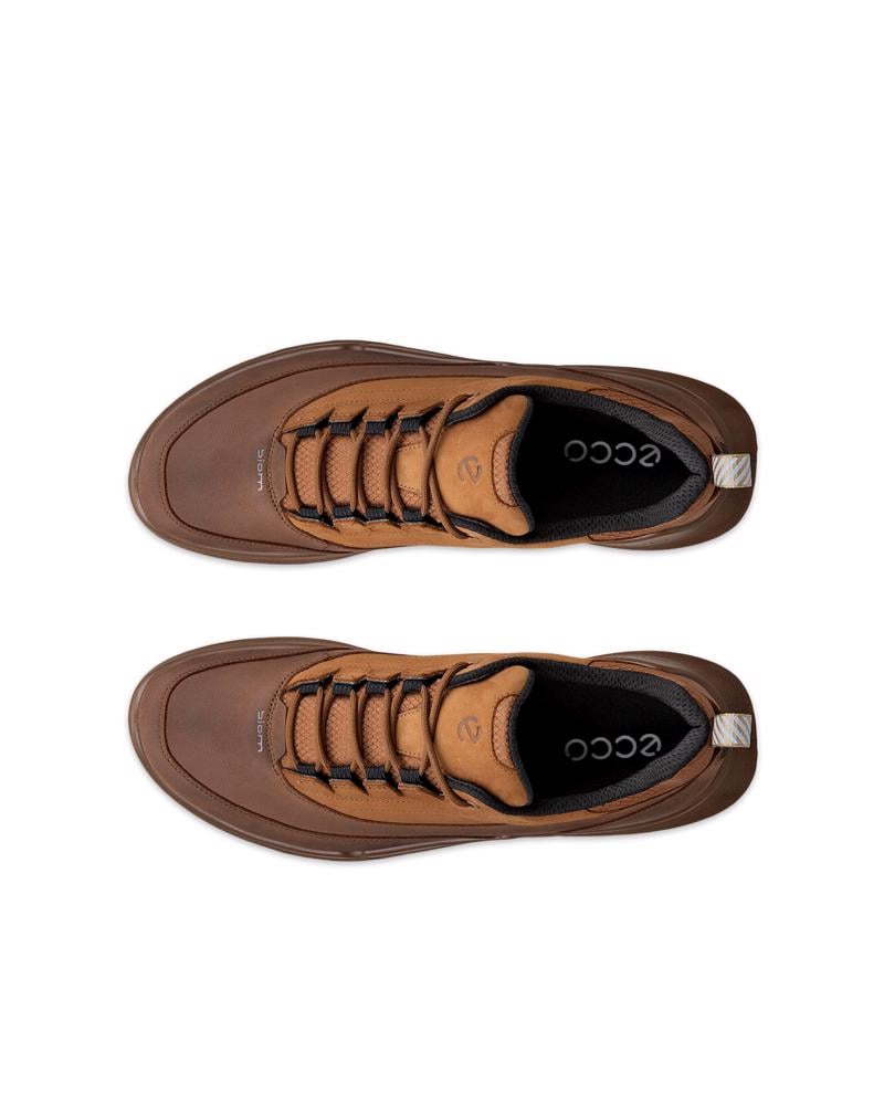 Brown ECCO BIOM 720 M Low GTXS LEA