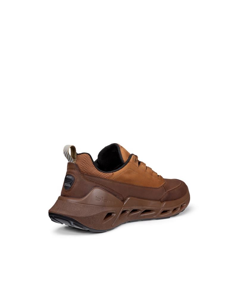 Brown ECCO BIOM 720 M Low GTXS LEA