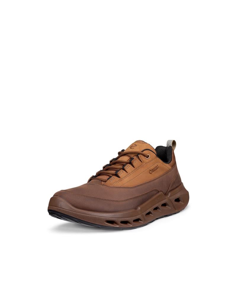 Brown ECCO BIOM 720 M Low GTXS LEA